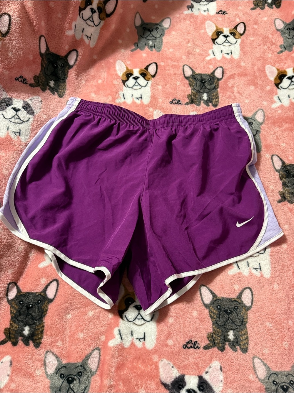 Nike Purple Athletic Running Shorts with White Trim